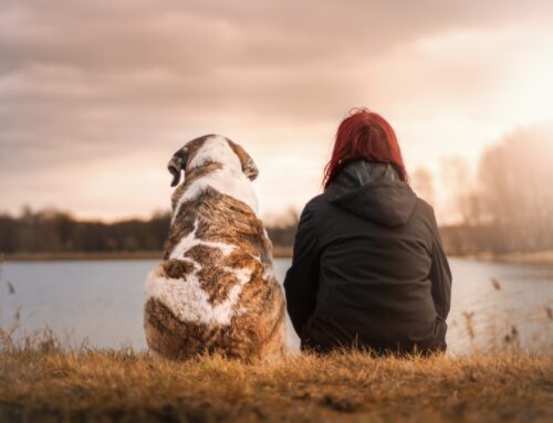 Pet Grief: How to Cope With the Loss of a Pet